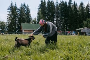 Vegane Ernährung und Torten